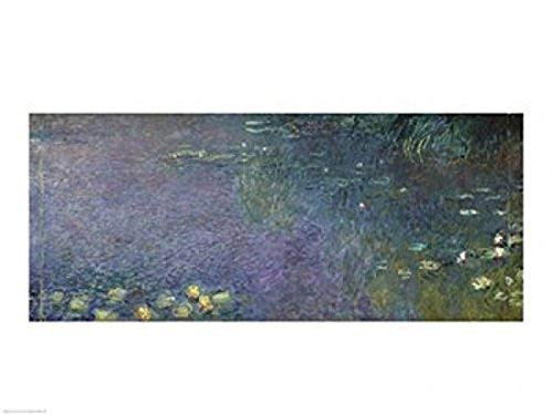 Posterazzi Waterlilies Morning 1914-18 centre right section Poster Print by Claude Monet 24 x 18