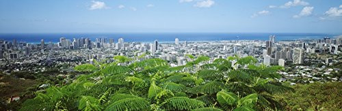 Posterazzi USA Hawaii Oahu Panoramic View Of City Buildings And Greenery From Tantalus Lookout Honolulu Poster Print 36 x 12