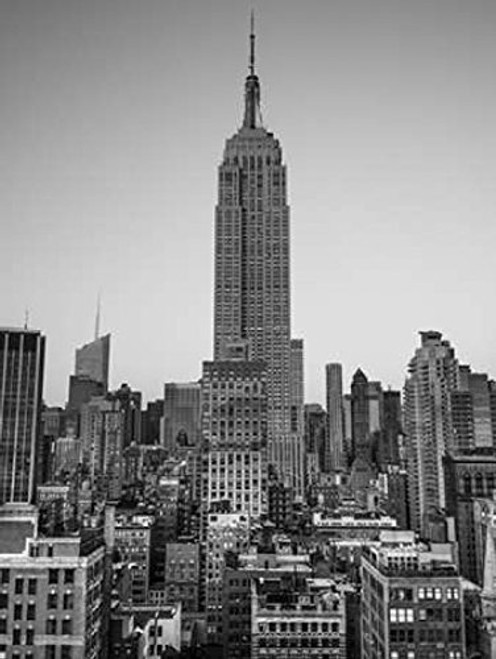 Posterazzi PDXAF201311181123C08LARGE Empire State Building with New York City Manhattan skyline with skyscrapers Poster Print by Assaf Frank 18 x 24 Posterazzi PDXAF201311181123C08LARGE Empire State Building with New York City Manhattan skyline with skyscrapers Poster Print by Assaf Frank 18 x 24