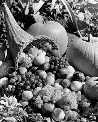 Posterazzi High angle view of assorted fruit Poster Print 18 x 24