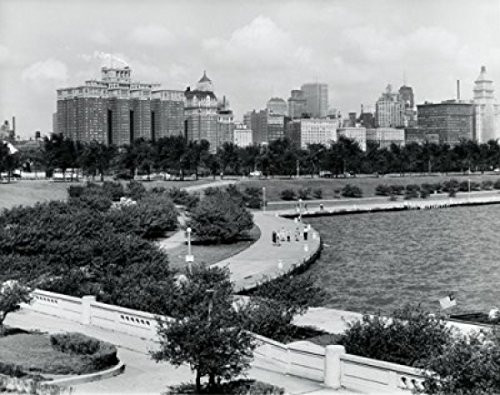 Posterazzi USA Illinois Chicago Trees in front of buildings Poster Print 18 x 24