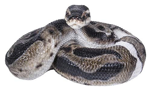 Hi-Line Gift 87680-B Regius Ball Python Statue