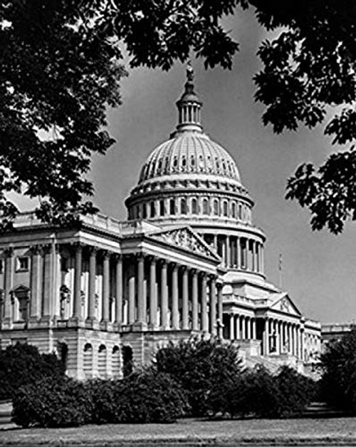 Plants in front of a government building Capitol Building Washington DC USA Poster Print 18 x 24 Plants in front of a government building Capitol Building Washington DC USA Poster Print 18 x 24