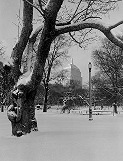 Posterazzi USA Massachusetts Boston Park covered Poster Print by snow building in the background 18 x 24 Posterazzi USA Massachusetts Boston Park covered Poster Print by snow building in the background 18 x 24