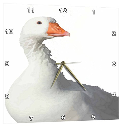 3dRose Wild White Duck Background Removed - Wall Clock, 10 by 10-Inch (DPP_214051_1)