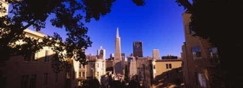 Posterazzi Buildings in a city Telegraph Hill Transamerica Pyramid San Francisco California USA Poster Print 36 x 13