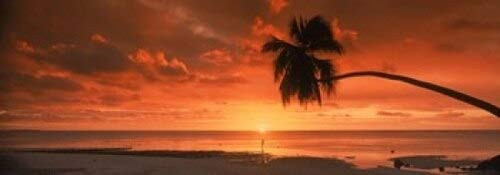 Posterazzi Silhouette of an Old Palm Tree on The Beach at Sunset Aitutaki Cook Islands Poster Print 36 x 13 Varies Posterazzi Silhouette of an Old Palm Tree on The Beach at Sunset Aitutaki Cook Islands Poster Print 36 x 13 Varies