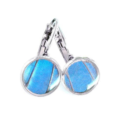 Real Blue Morpho Butterfly Wing Drop Post Earrings