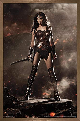 Trends International DC Comics Movie - Batman v Superman - Wonder Woman Wall Poster 14_725 x 22_375 Bronze Framed Version