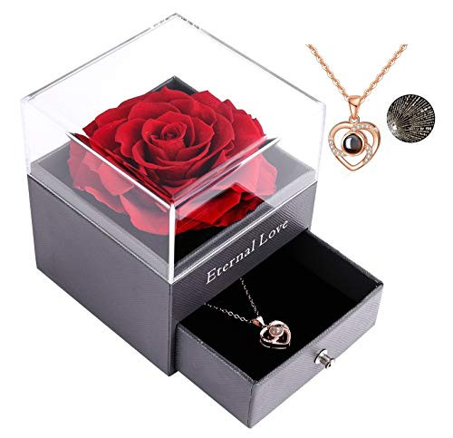 Ocosy Preserved Real Rose with Love You Necklace in 100 Languages Gift Set Enchanted Real Rose Flower for Valentines Day Anniversary Wedding Bthday Romantic Gifts for her Heart Necklace Ocosy Preserved Real Rose with Love You Necklace in 100 Languages Gift Set Enchanted Real Rose Flower for Valentines Day Anniversary Wedding Bthday Romantic Gifts for her Heart Necklace