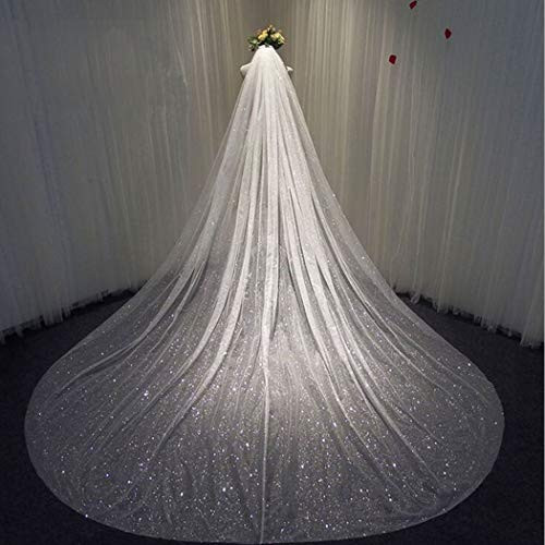 Heread Bride Wedding Veil Long Sparking Cathedral Chapel Length Bridal Tulle Hair Accessoies with Comb and Cut Edge 118 Width White