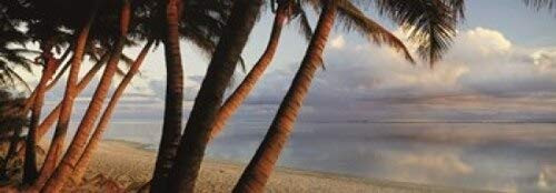 Posterazzi Palm Trees on The Beach at Sunset Rarotonga Cook Islands Poster Print 36 x 13 Varies Posterazzi Palm Trees on The Beach at Sunset Rarotonga Cook Islands Poster Print 36 x 13 Varies