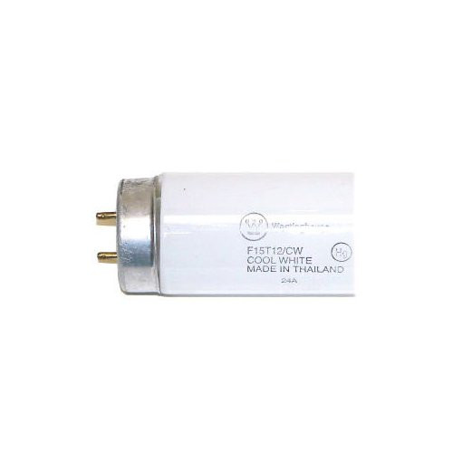 Westinghouse Lighting  07550 Corp 15-watt Bi-Pin Fluorescent Bulb, Cool White