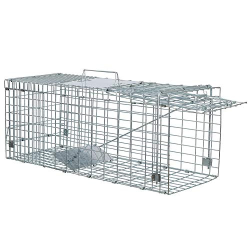 ANT MARCH Live Animal Cage Trap 24 Steel Humane Release Rodent Cage for Rabbits Stray Cat Squirrel Raccoon Mole Gopher Chicken Opossum Skunk Chipmunks Groundhog Squire Small Animals Style