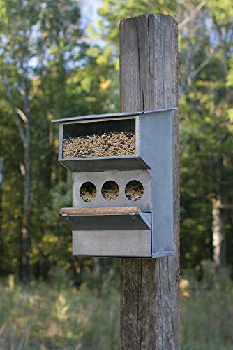 Colonial Tin Works Backyard Buddies Birdfeeder