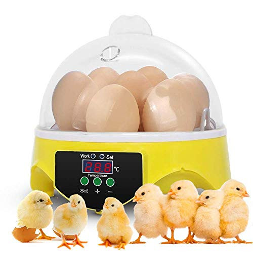 Xuliyme Digital 7 Mini Egg Incubator Fully Automatic Poultry Hatcher Machine with Temperature Control General Purpose Incubators for Chickens Ducks Birds