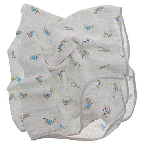 Enesco Beatrix Potter Peter Rabbit Baby Blanket