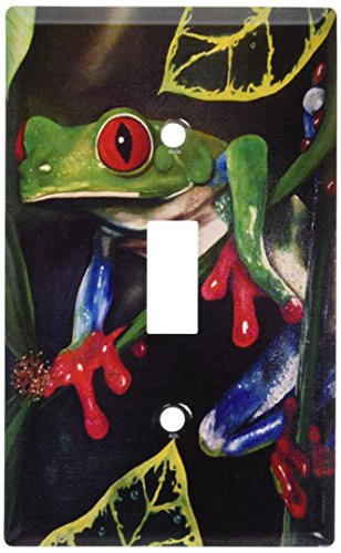 Art Plates - Red Eyed Tree Frog Switch Plate - Single Toggle