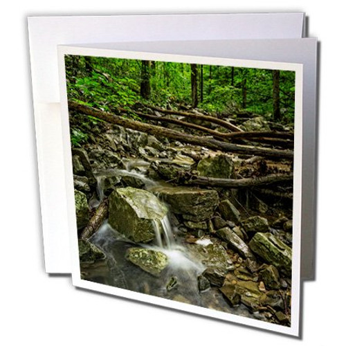 3dRose Blue Springs River Greeting Cards, 6" x 6", Set of 6 (gc_218927_1) 3dRose Blue Springs River Greeting Cards, 6" x 6", Set of 6 (gc_218927_1)