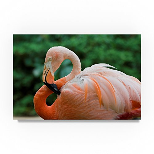 Flamingo Center by Robert Michaud 12x19-Inch