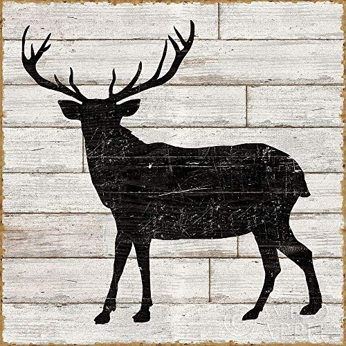 Posterazzi Collection Lake Lodge II Neutral no Words Poster Print by Sue Schlabach 24 x 24