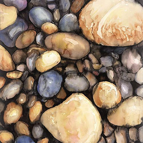 Posterazzi Collection Small Pebbles Poster Print by Atelier B Art Studio 24 x 24