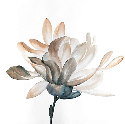 Posterazzi Collection Desaturated Flower with Beautiful Petals Poster Print by Atelier B Art Studio 24 x 24
