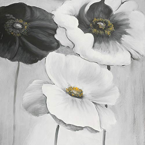 Posterazzi Collection Assorted White Flowers Poster Print by Atelier B Art Studio 24 x 24