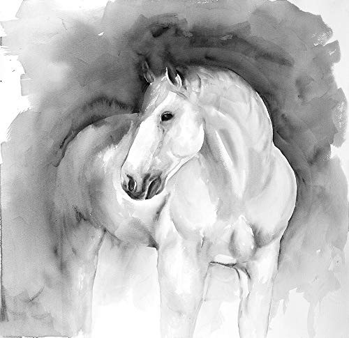 Posterazzi Collection Beauty Poster Print by Atelier B Art Studio 24 x 24