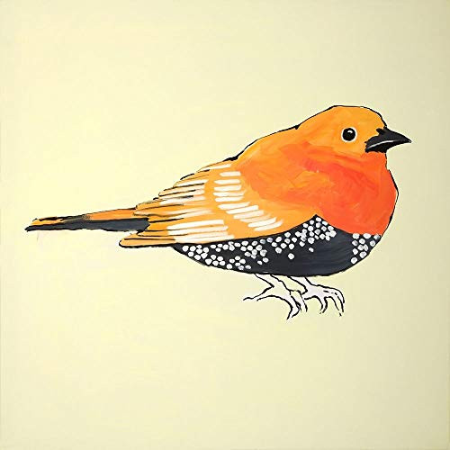 Posterazzi Collection Little Orange Bird Illustration Poster Print by Atelier B Art Studio 24 x 24