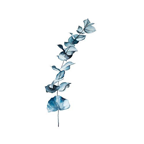 Posterazzi Collection Eucalyptus Blue Leaves Poster Print by Atelier B Art Studio 24 x 24