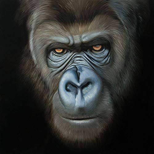 Posterazzi Collection Gorilla FACE Poster Print by Atelier B Art Studio 24 x 24