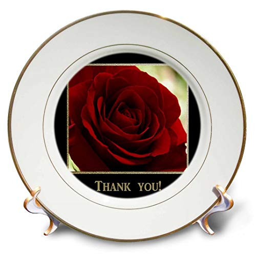 3dRose cp_77284_1 Red Rose Frame in Gold & Black Thank You Porcelain Plate, 8"