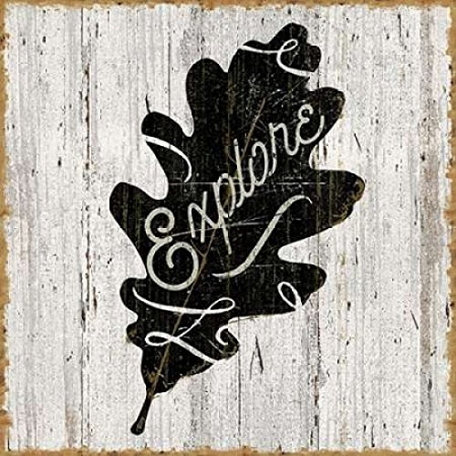 Posterazzi Lake Lodge XII Neutral Poster Print by Sue Schlabach 24 x 24