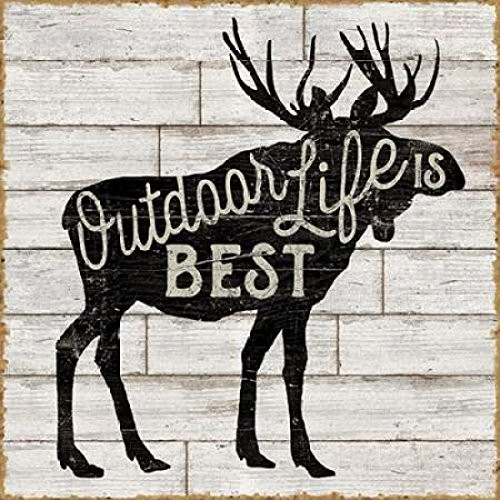 Posterazzi Lake Lodge I Neutral Poster Print by Sue Schlabach 24 x 24