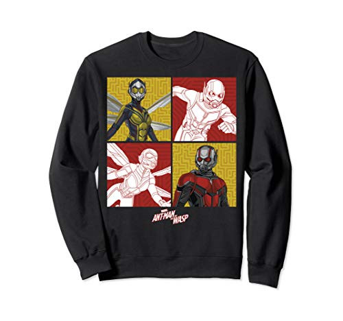 Marvel Ant-Man   The Wasp Digital Box Panels Sweatshirt