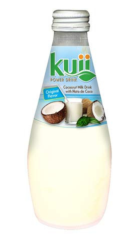 Coconut Milk Drink Original Original 9_8FL OZ Pack of 12