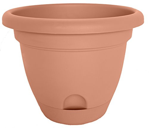 Bloem LP1046-6 Lucca Planter 10-Inch Terra Cotta 6-Pack