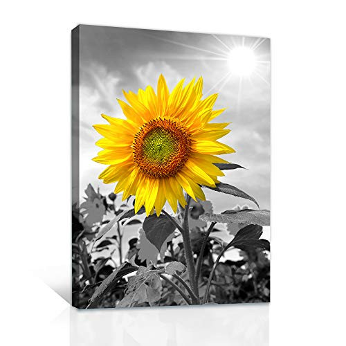 Canvas Wall Art for Bedroom family kitchen Wall decor modern Black and white painting farmhouse bathroom Decoration Sunflower flowers canvas pictures Artwork for home Ready to Hang - 20x28 inches Canvas Wall Art for Bedroom family kitchen Wall decor modern Black and white painting farmhouse bathroom Decoration Sunflower flowers canvas pictures Artwork for home Ready to Hang - 20x28 inches