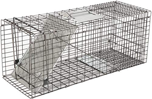 Live Animal Trap - Humane Catch   Release Cage for Raccoon Opossum Stray Feral Cat Rabbit - No-Kill Bait Trapping Kit - 32 X 12 X 12