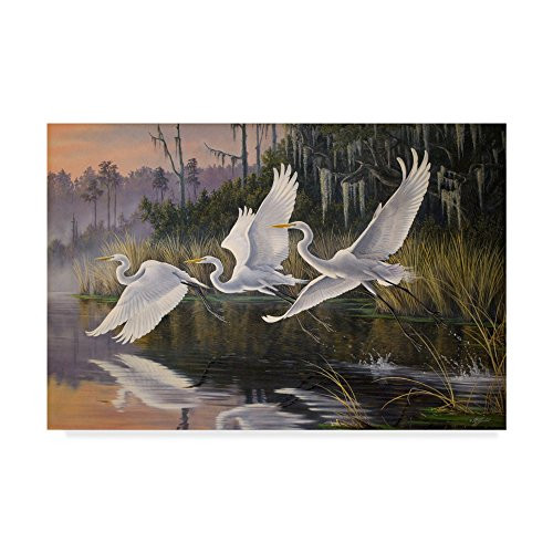 Morning Departure Egrets by Wilhelm Goebel 16x24-Inch