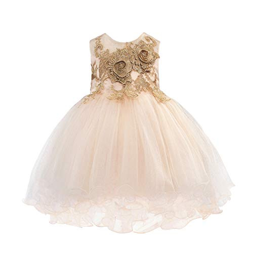 Princess Daliana Baby Girl Special Occasion Dress Formal Flower Toddler Christening Dress Party Wedding Birthday 9M Champagne