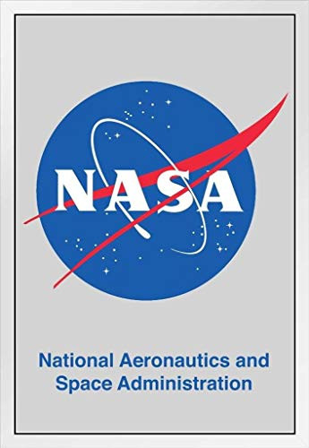 NASA Meatball Logo Official Classic White Wood Framed Poster 14x20
