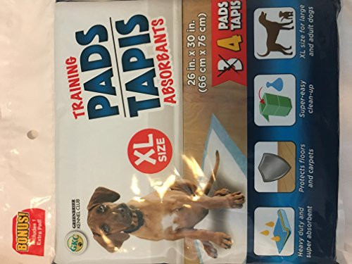 Greenbrier International Pet Training Pads Lavender Scent 22 in_ x 22 in_ 4 per Pack