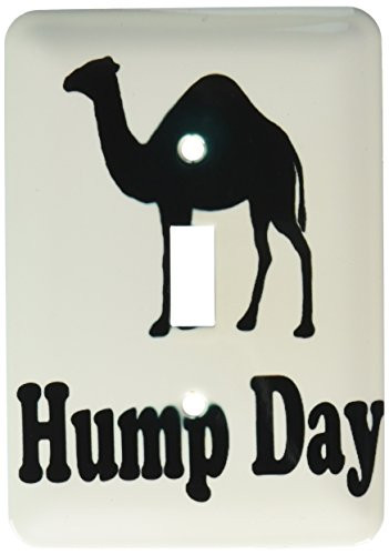 3dRose lsp-159637-1 Hump Day Camel Wednesday Single Toggle Switch