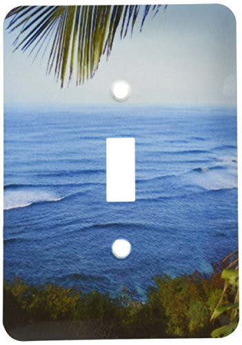 3dRose LLC lsp-22952-1 Hawaii Ocean Ii Single Toggle Switch