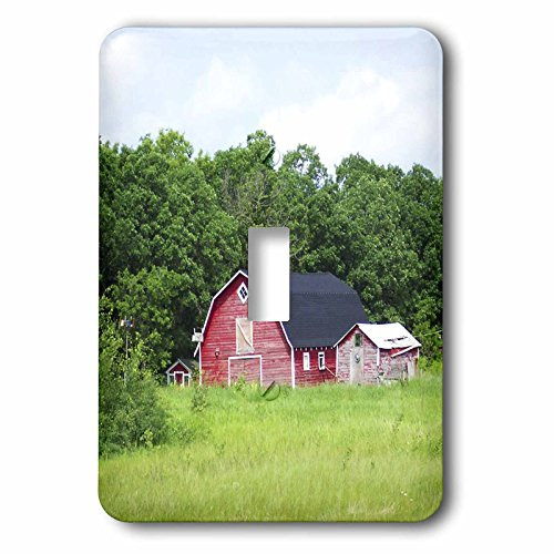 3dRose lsp-56141-1 The Old Barn Single Toggle Switch Red