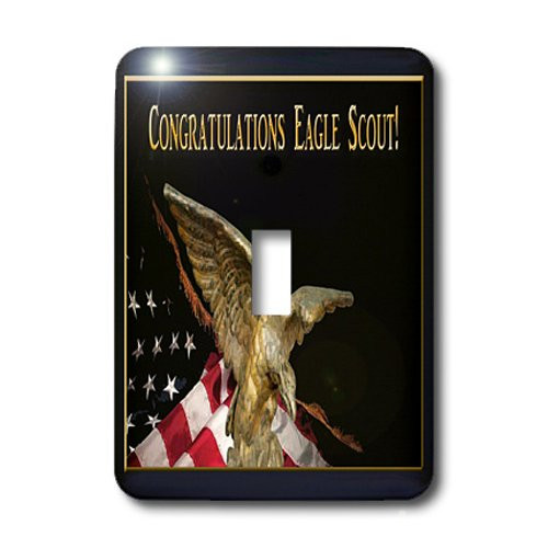 3dRose lsp-20826-1 Soaring Eagle With Flag Congratulations Eagle Scout Single Toggle Switch