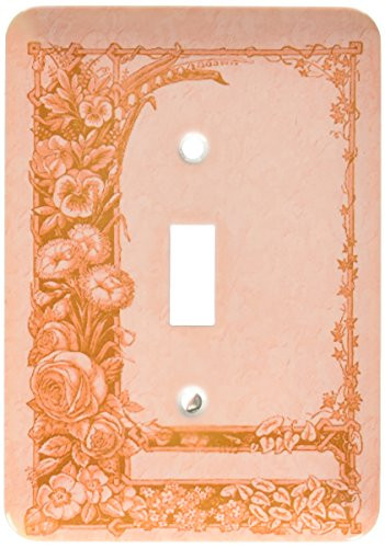 3dRose lsp-54095-1 Toggle Switch