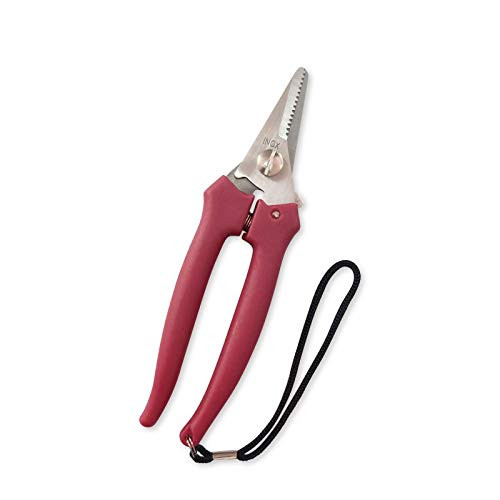 Avarosa Shears Gardening Tools Plant Shears Garden Shears Pruning Pruning Shears Garden Scissors Pruning Shears for Gardening Pruning Scissors for Gardening Trimming Plants Garden Tools_ Avarosa Shears Gardening Tools Plant Shears Garden Shears Pruning Pruning Shears Garden Scissors Pruning Shears for Gardening Pruning Scissors for Gardening Trimming Plants Garden Tools_